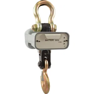 CAS Весы 3 THA (Caston 1) CAS Весы 3 THA (Caston 1)